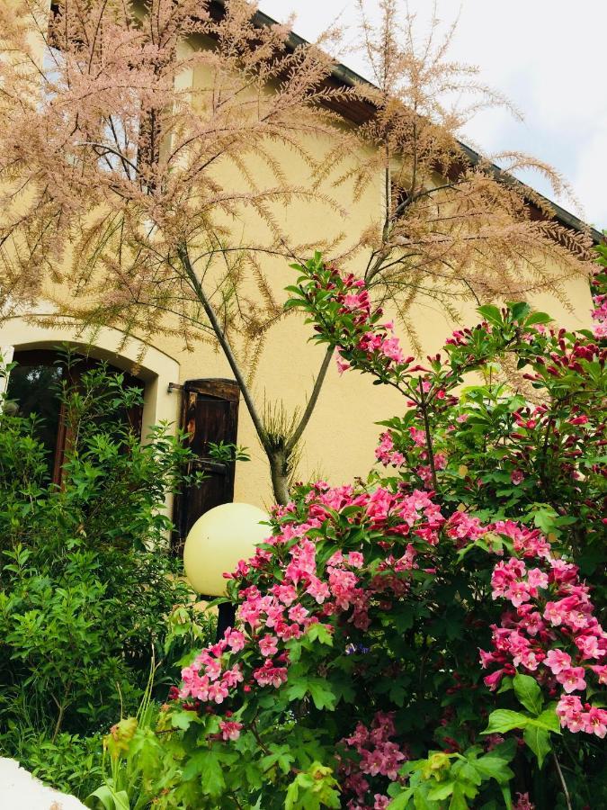 Les Gites Du Moulin D Olt لا كانورج المظهر الخارجي الصورة